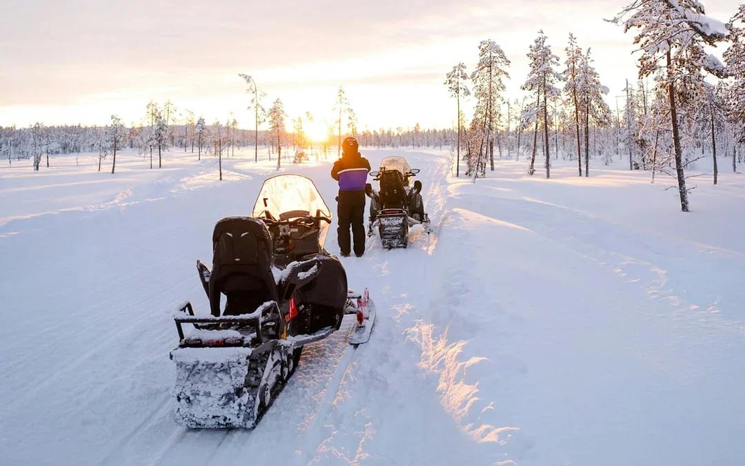 Rovaniemi: 3 hour Snowmobile Ride  Image 4