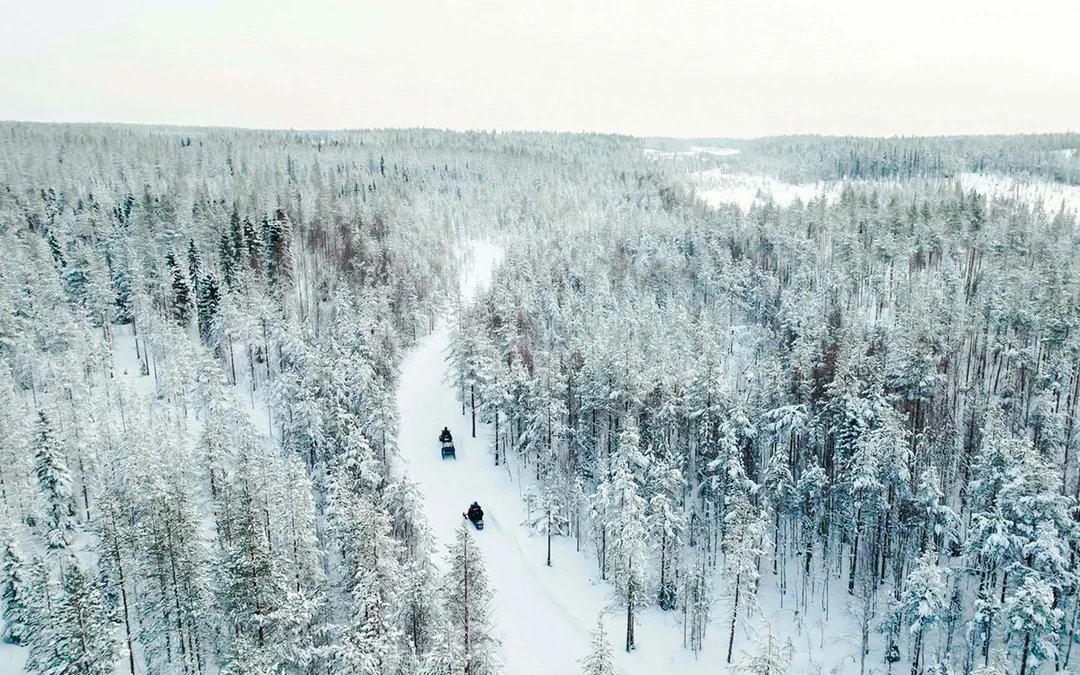 Rovaniemi: 3 hour Snowmobile Ride  Image 5