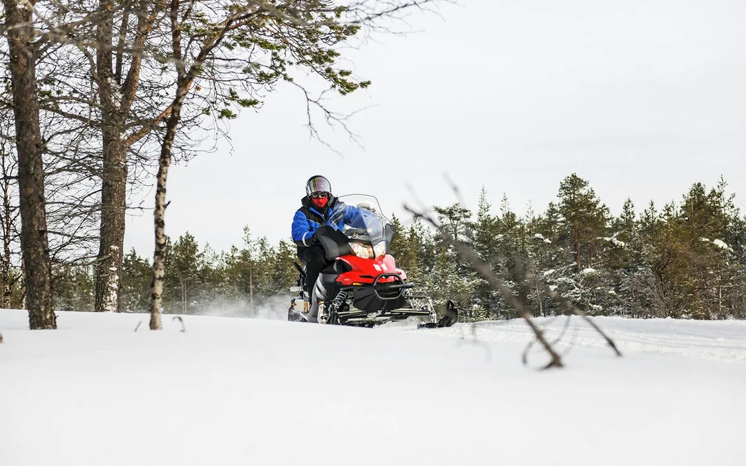 Rovaniemi: Arctic Wilderness Ride Image 3