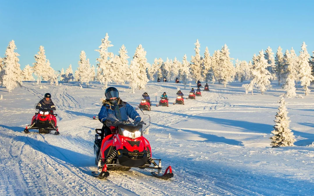 Rovaniemi: Arctic Wilderness Ride Image 4