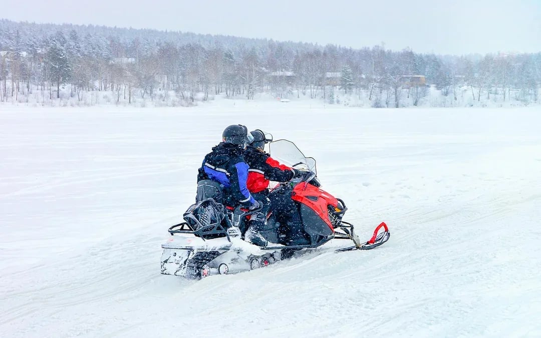 Rovaniemi: Arctic Wilderness Ride Image 6
