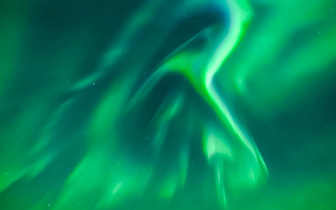 Rovaniemi: Guaranteed Northern Lights Group Tour Image 2