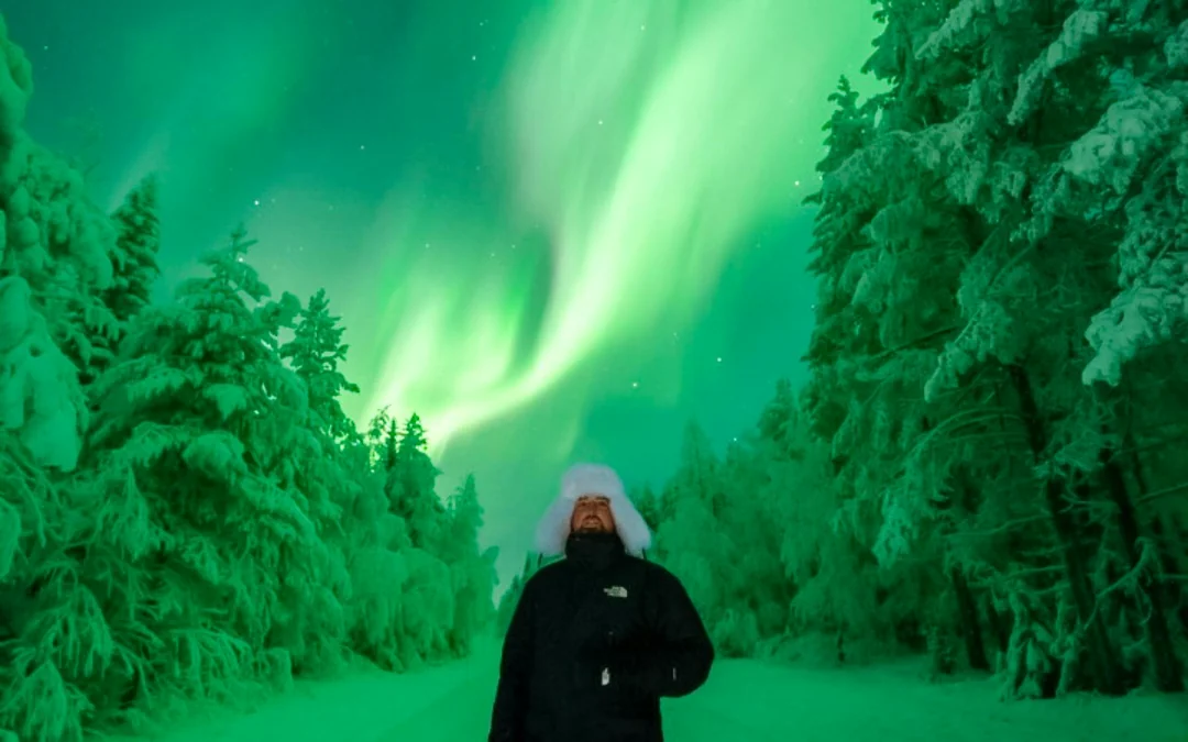 Rovaniemi: Guaranteed Northern Lights Group Tour Image 5