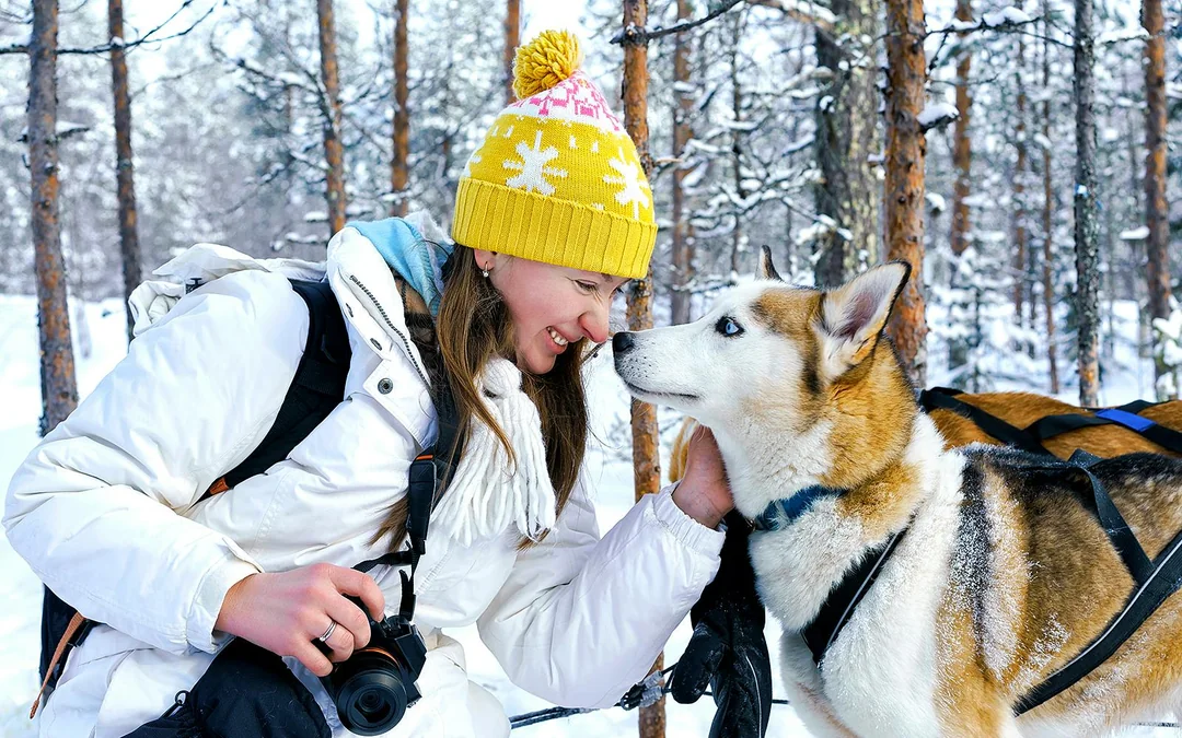 Rovaniemi: Guided Snowmobile Safari Image 4