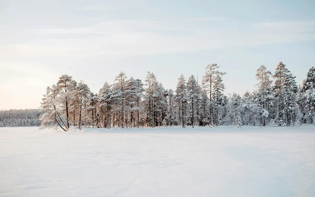 Rovaniemi: Guided Snowmobile Safari Image 5
