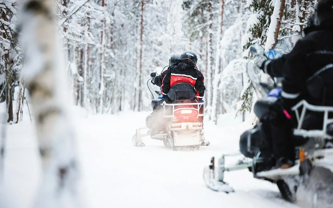 Rovaniemi: Husky & Reindeer Experience and Snowmobile Ride Image 3
