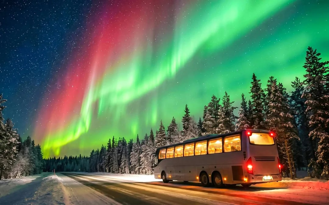 Rovaniemi: Northern Lights Chase Bus Tour with Guaranteed Sightings Image 2