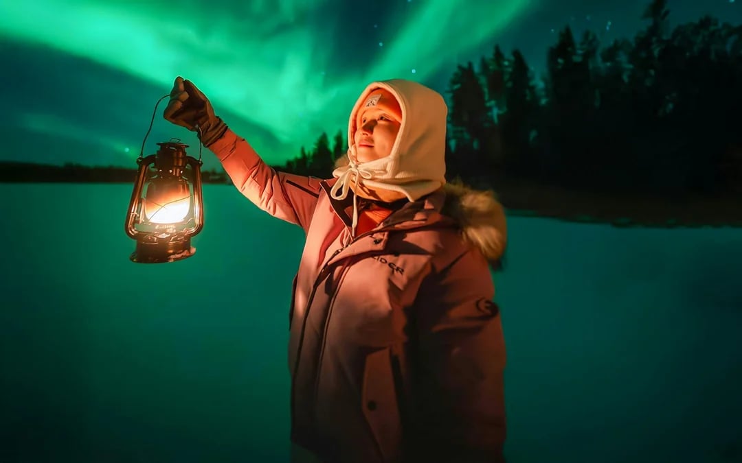 Rovaniemi: Northern Lights Chase Bus Tour with Guaranteed Sightings Image 6