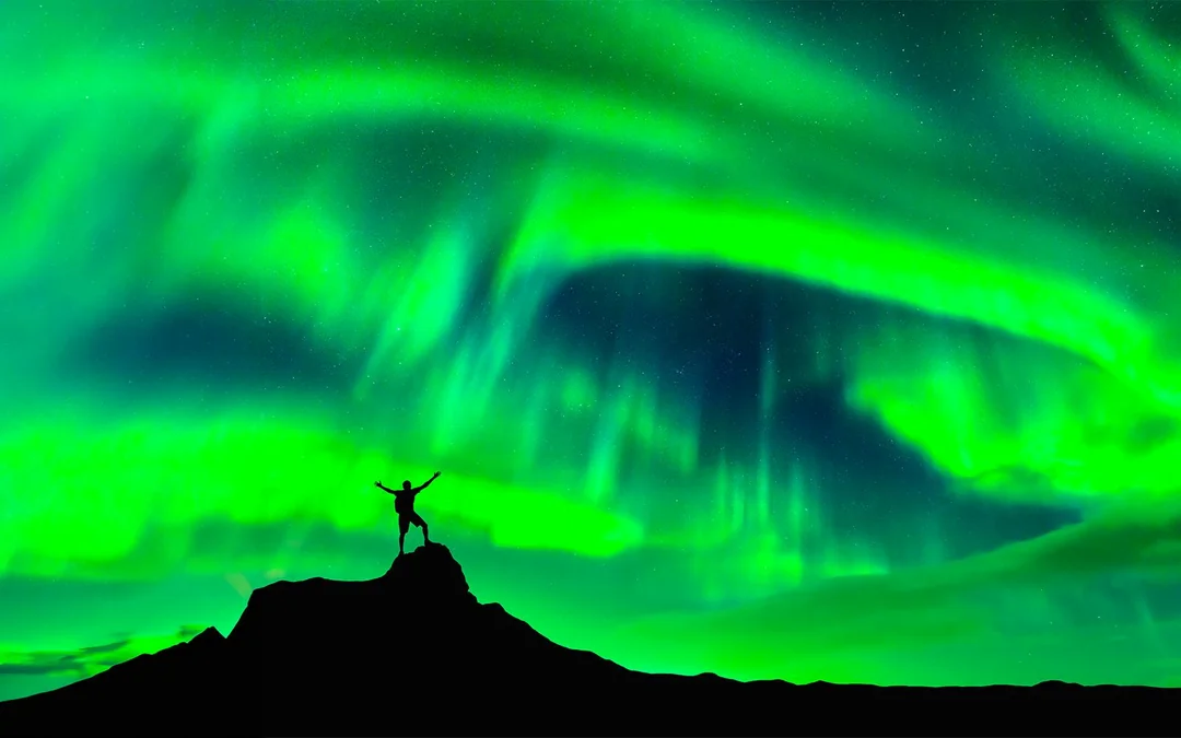 Rovaniemi: Northern Lights Chase Small Group Tour Image 5