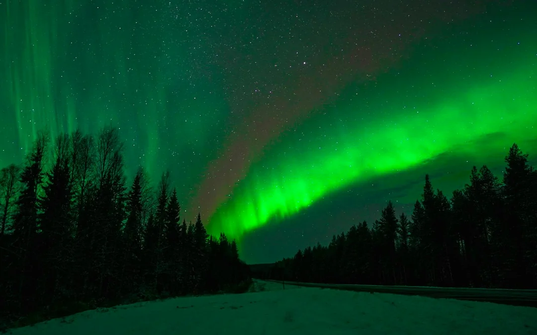 Rovaniemi: Northern Lights Chase Small Group Tour Image 7