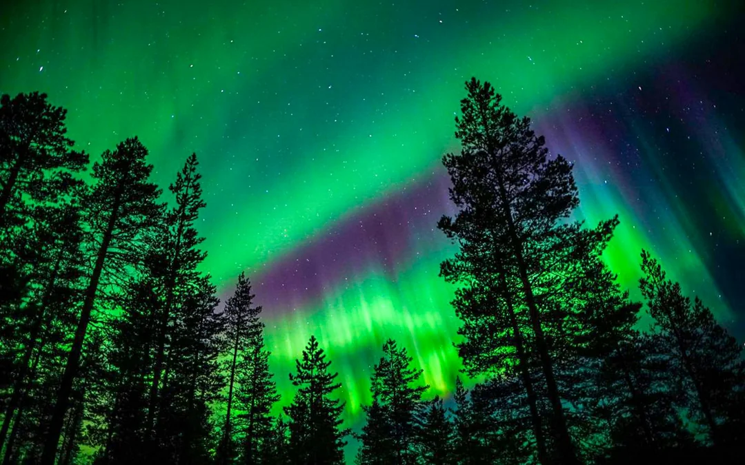 Rovaniemi: Northern Lights Chase with Professional Photography Image 3