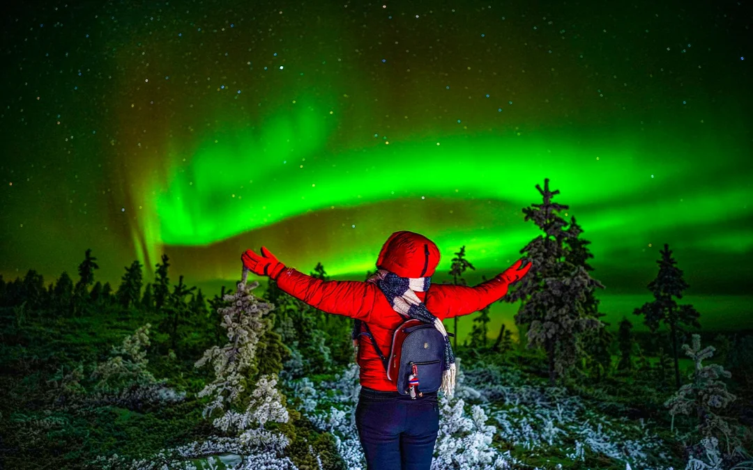 Rovaniemi: Northern Lights Chase with Professional Photography Image 4