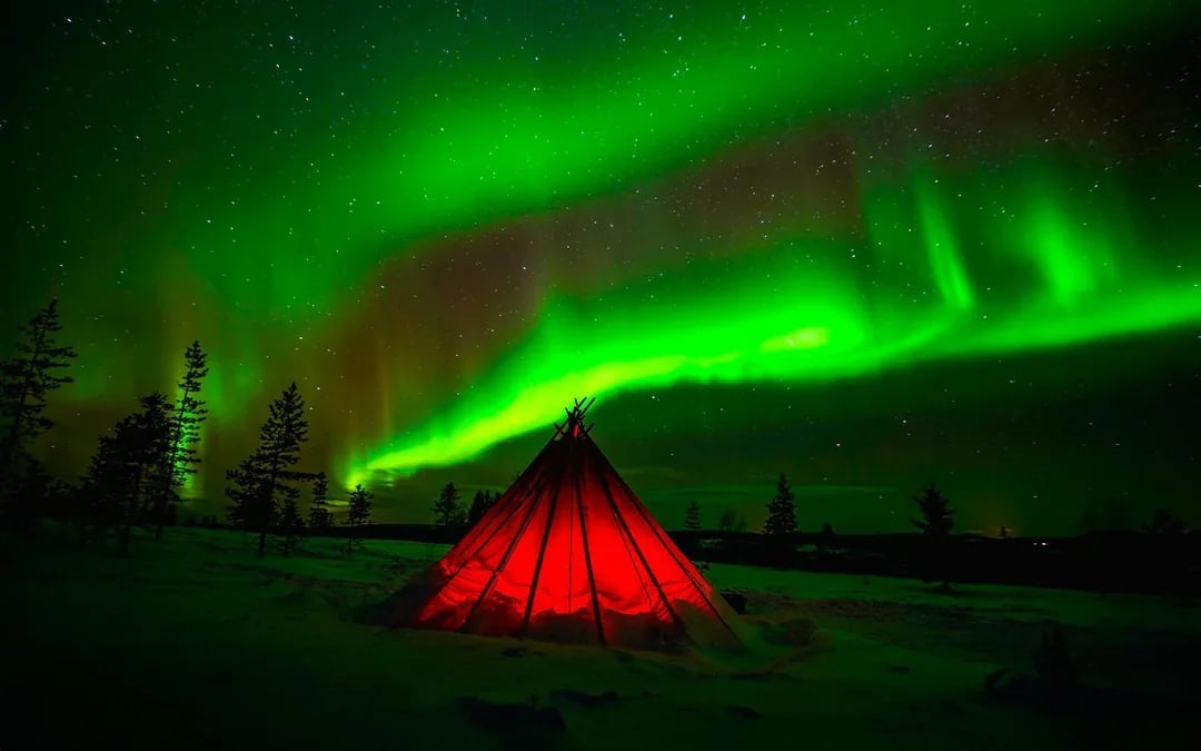 Rovaniemi: Northern Lights Chase with Professional Photography Image 7