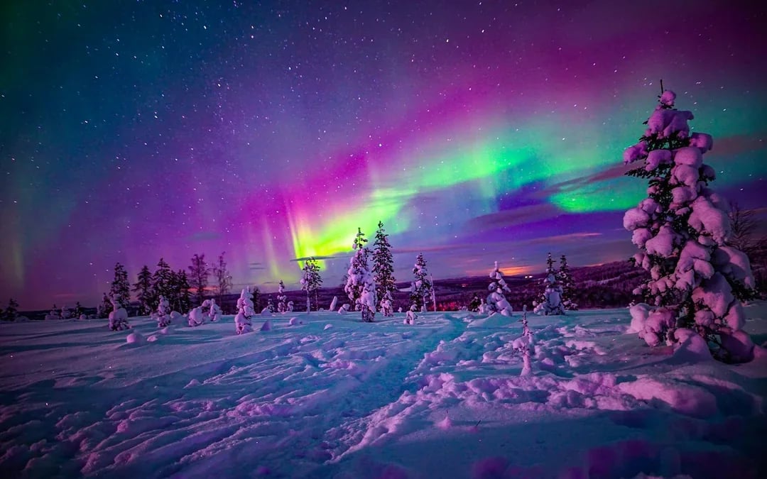 Rovaniemi: Northern Lights Chase with Professional Photography Image 8