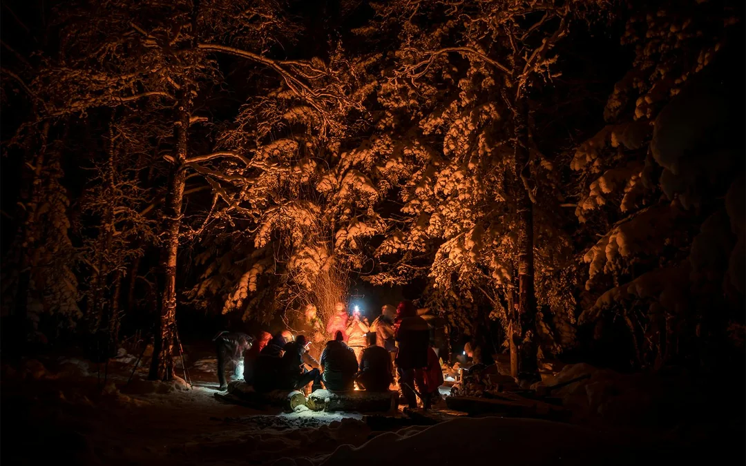 Rovaniemi: Northern Lights Coach Tour with Guaranteed Sightings Image 5