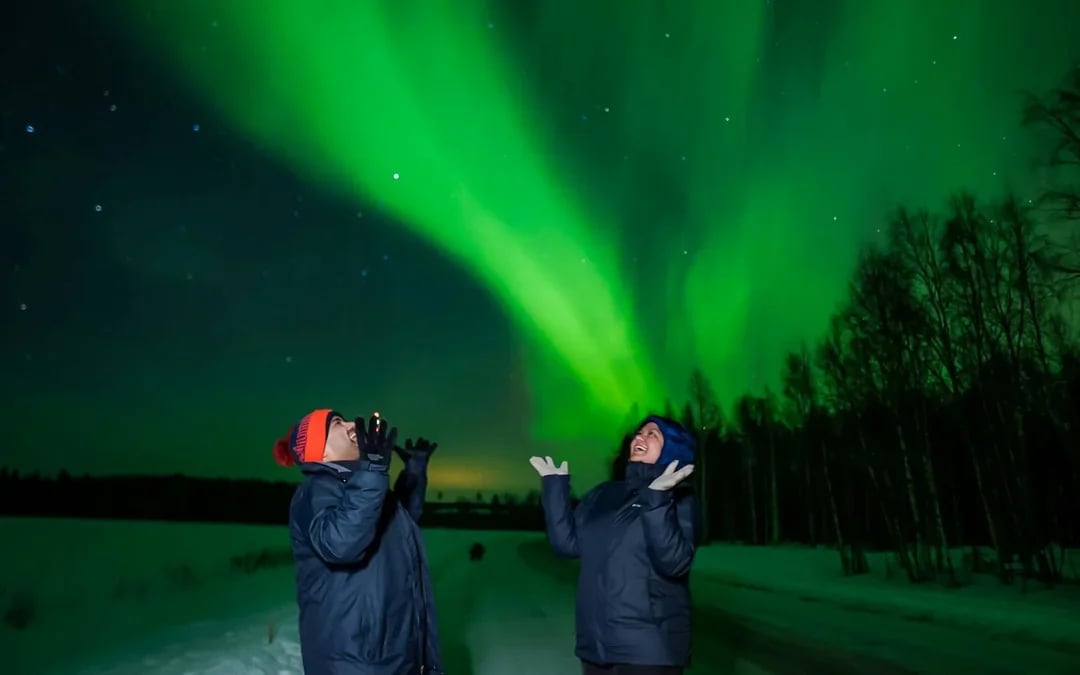 Rovaniemi: Northern Lights Coach Tour with Guaranteed Sightings Image 7