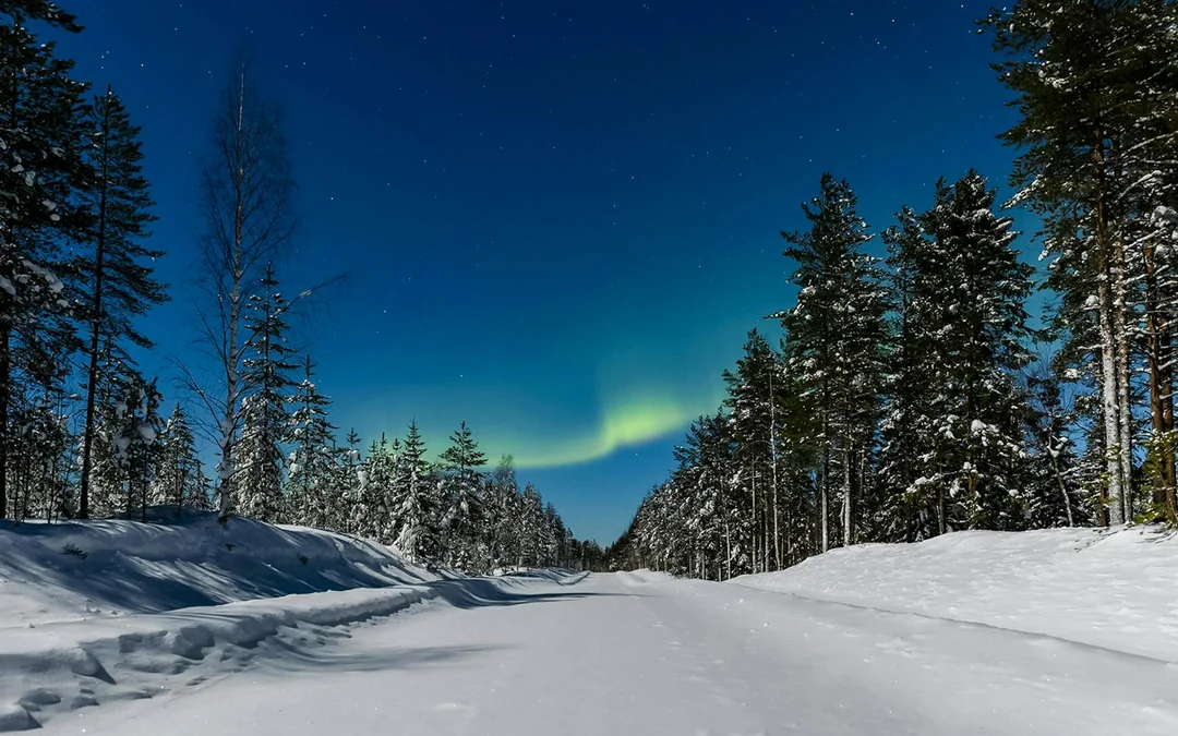 Rovaniemi: Northern Lights Hunting with Husky Image 3