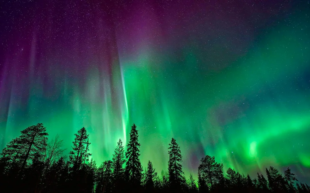 Rovaniemi: Northern Lights Hunting with Husky Image 9