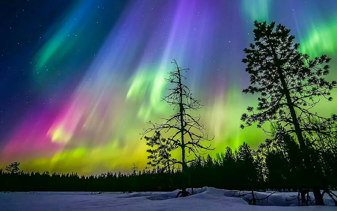 Rovaniemi: Northern Lights Sauna Experience Image 3