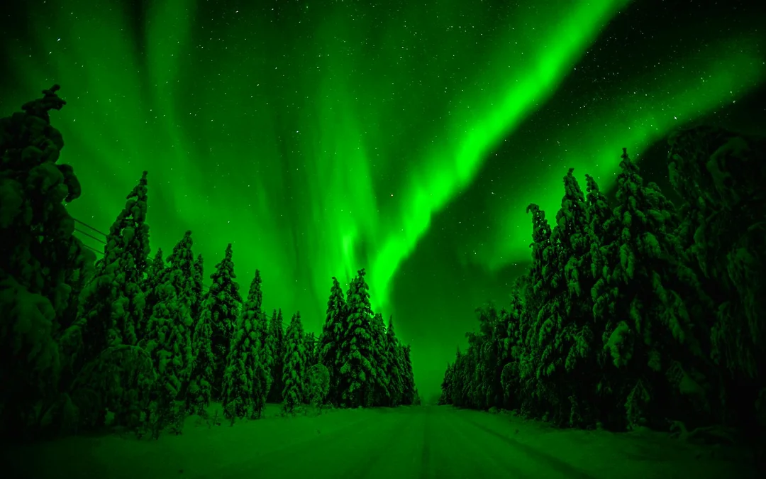  Rovaniemi: Northern Lights Snowmobile Hunt Image 3