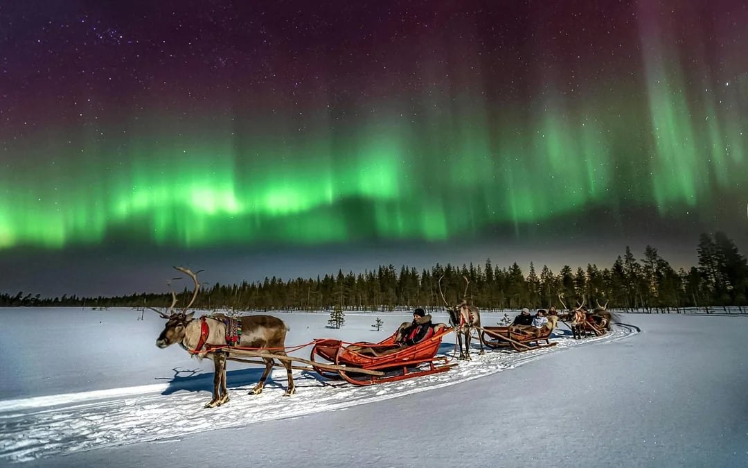 Rovaniemi: Northern Lights with Reindeer Sledding
Image 1