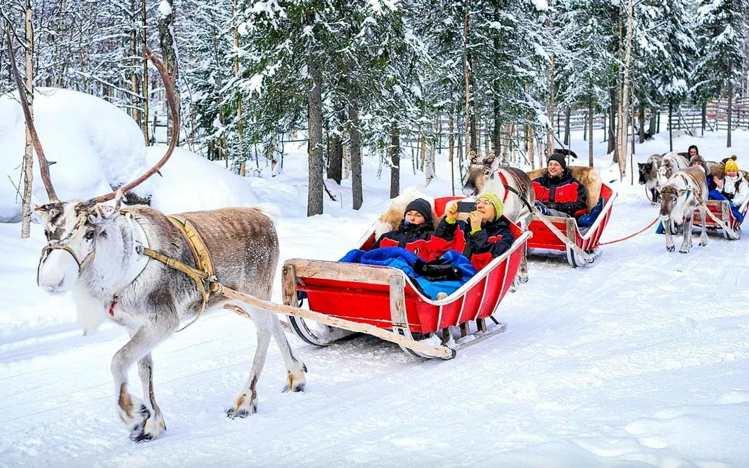 Rovaniemi: Northern Lights with Reindeer Sledding
Image 3