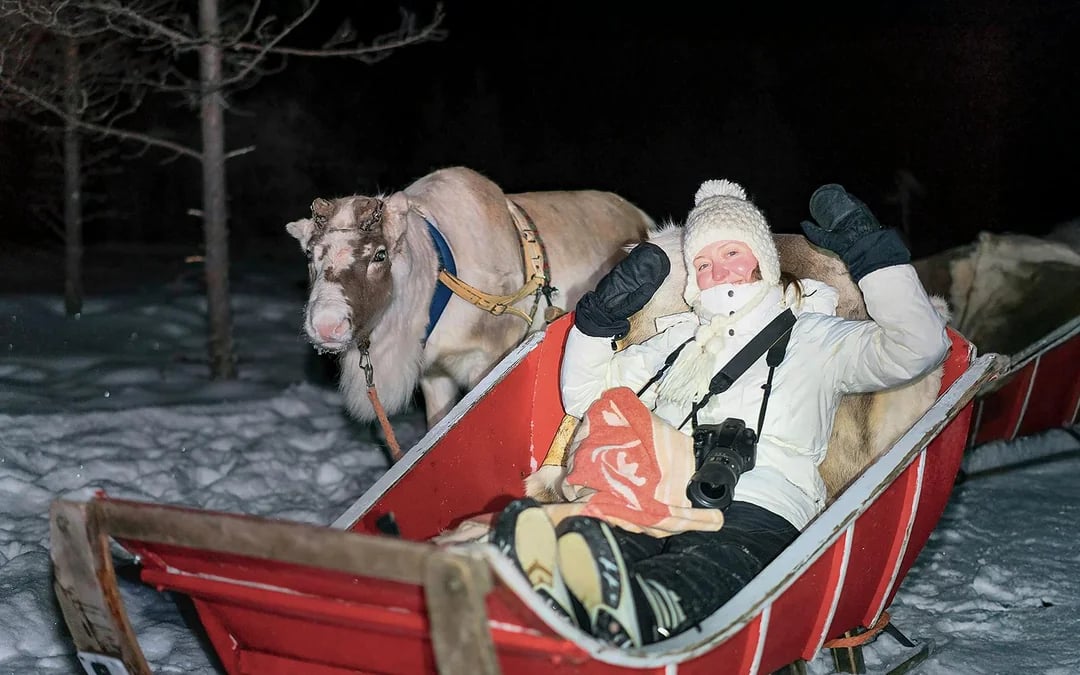 Rovaniemi: Northern Lights with Reindeer Sledding
 Image 4