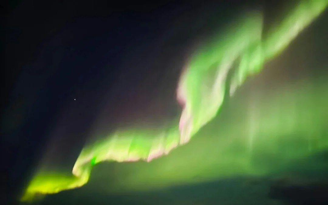 Rovaniemi: Santa's Reindeer & Husky Safari + Aurora BBQ Image 11