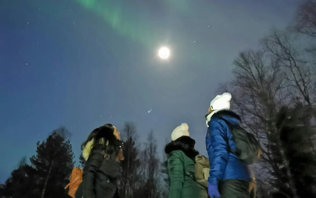 Rovaniemi: Santa's Reindeer & Husky Safari + Aurora BBQ Image 4