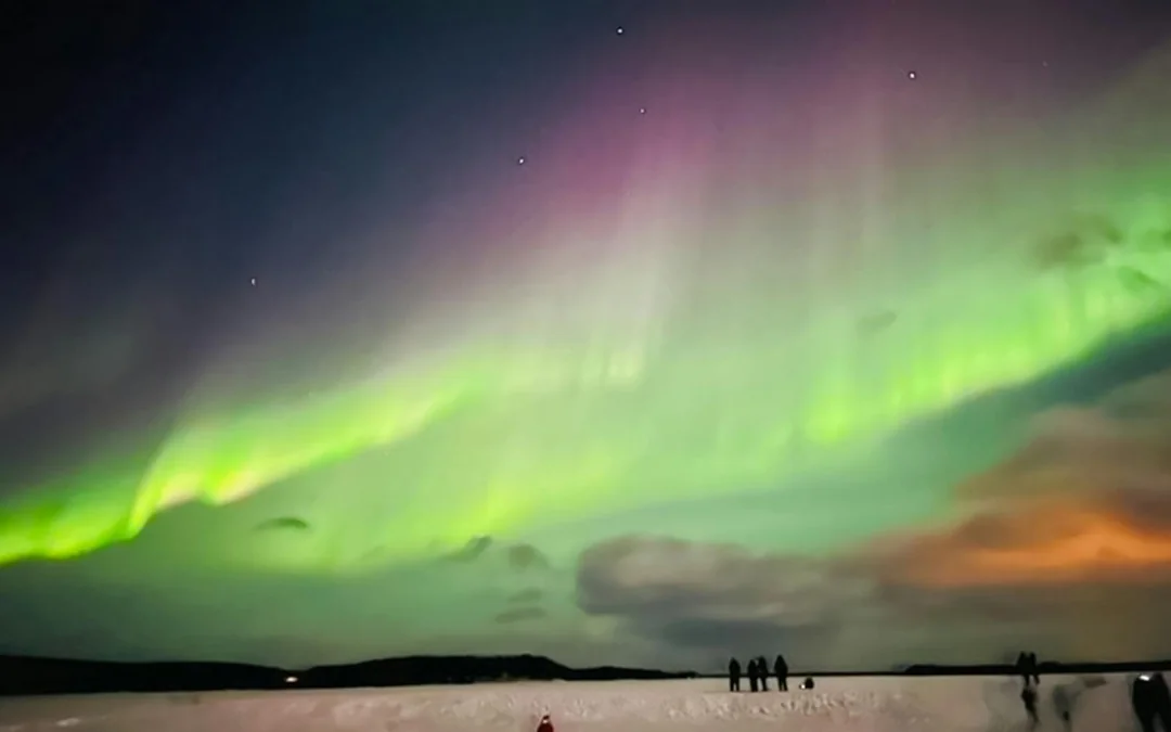 Rovaniemi: Santa's Reindeer & Husky Safari + Aurora BBQ Image 5