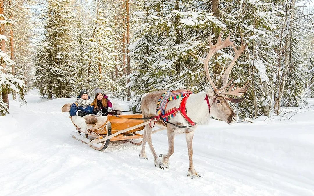 Rovaniemi: Santa's Reindeer & Husky Safari + Aurora BBQ Image 9