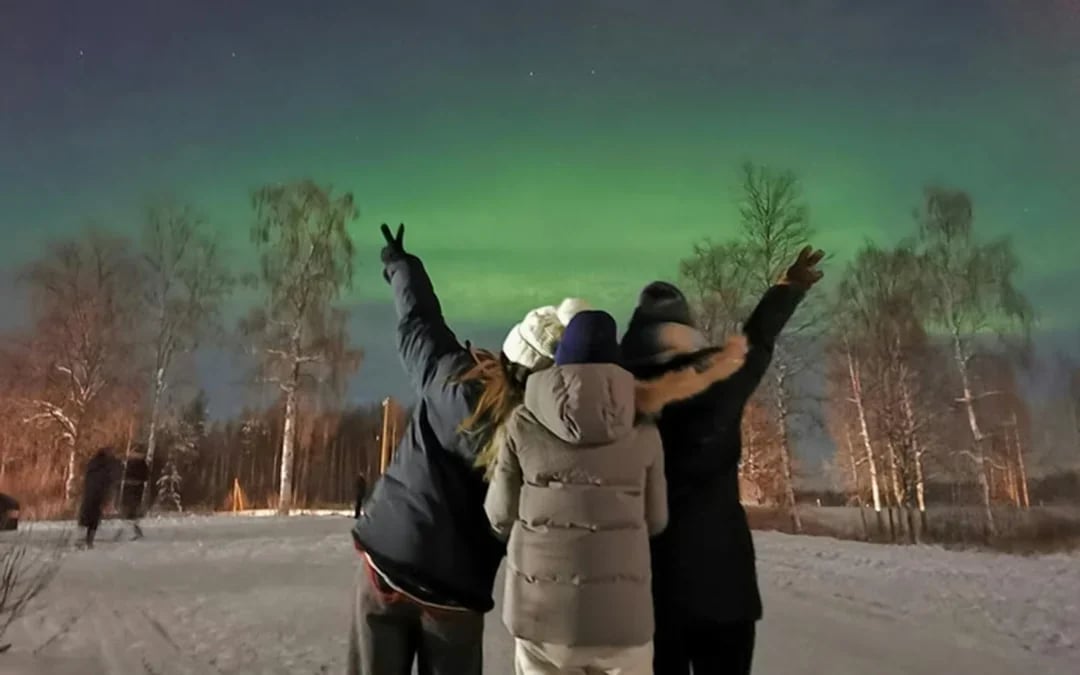 Rovaniemi: Santa's Reindeer & Husky Safari + Aurora BBQ Image 10
