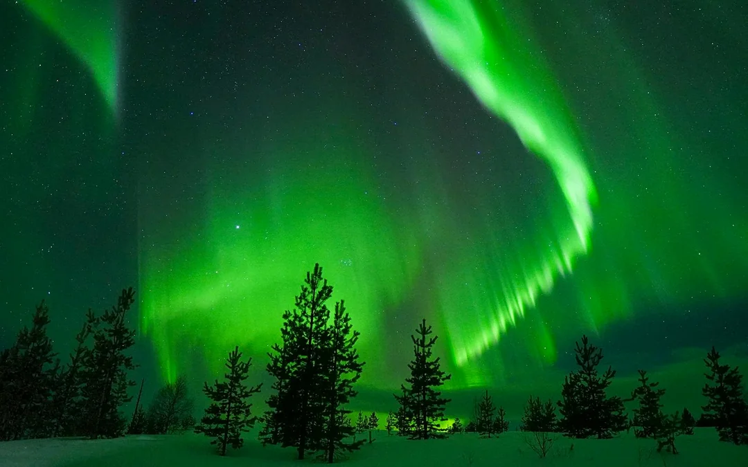 Rovaniemi: Small-Group Northern Lights Tour with Guaranteed Sightings (Max 8 Guests) Image 3