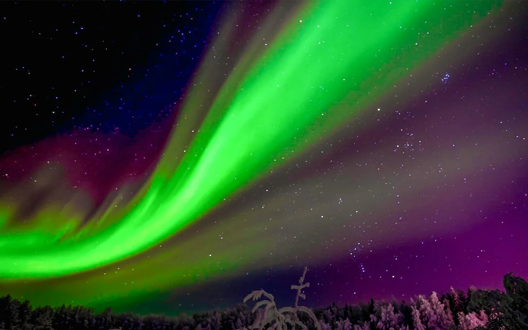 Rovaniemi: Small-Group Northern Lights Tour with Guaranteed Sightings (Max 8 Guests) Image 8