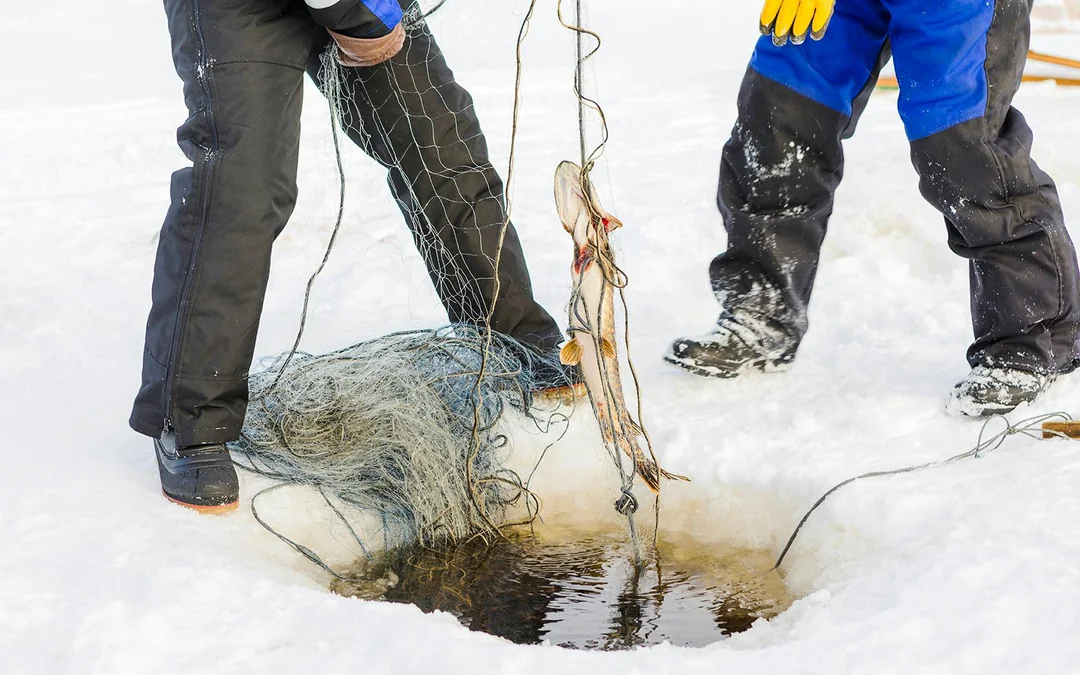 Rovaniemi: Snowmobile and Ice Fishing Experience Image 3