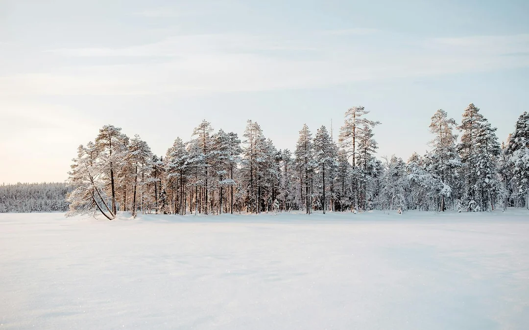Rovaniemi: Snowmobile and Ice Fishing Experience Image 5