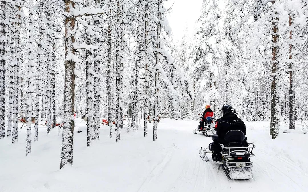 Rovaniemi: Snowmobile tour and reindeer experience Image 5