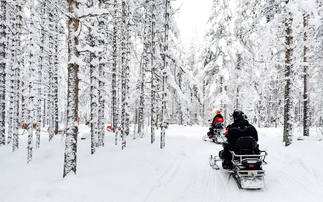 Rovaniemi: Snowmobile tour and reindeer experience Image 5