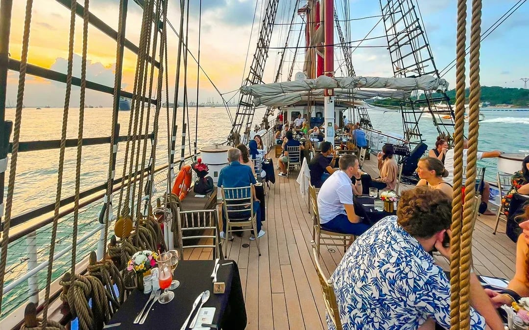 Royal Albatross Sunset Dinner Cruise 



 Image 3