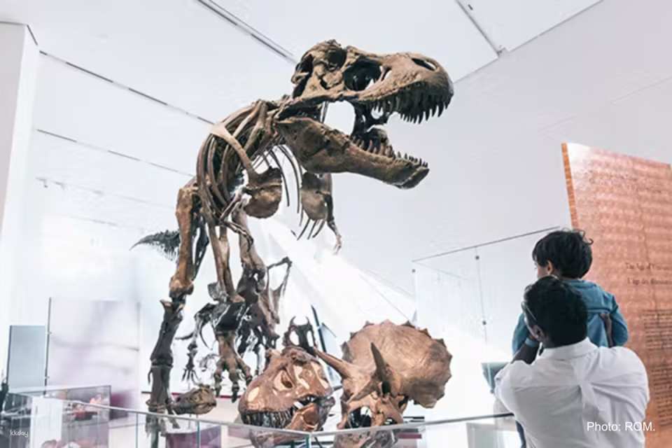 Royal Ontario Museum Ticket | Toronto