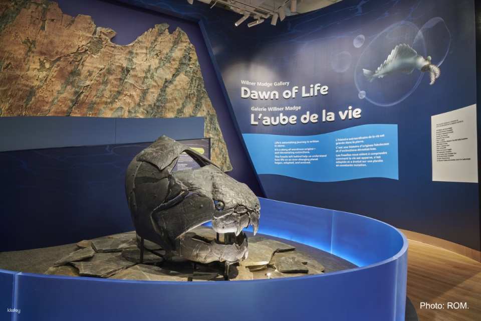 Royal Ontario Museum Ticket | Toronto
