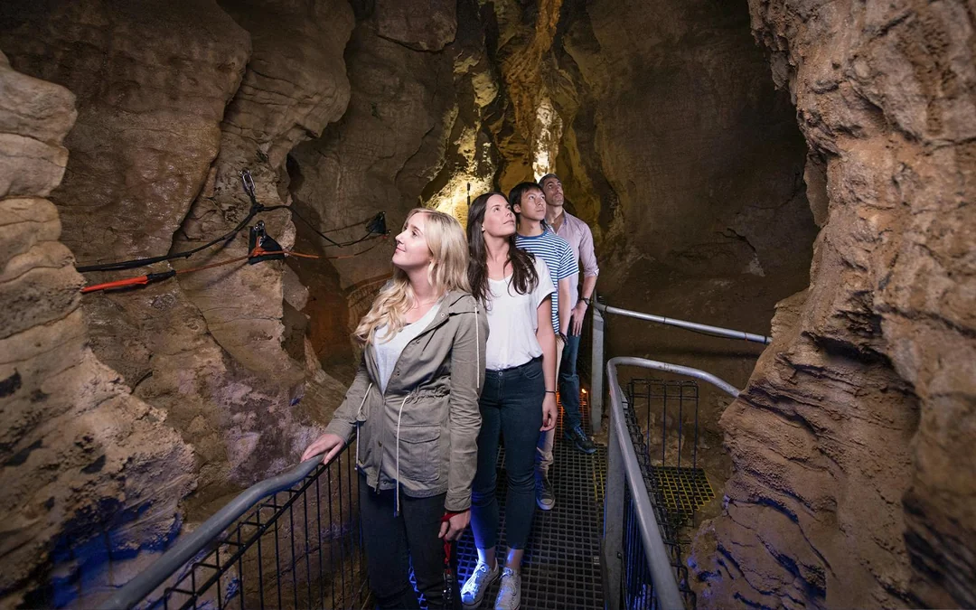 Ruakuri Cave Guided Tour Image 2