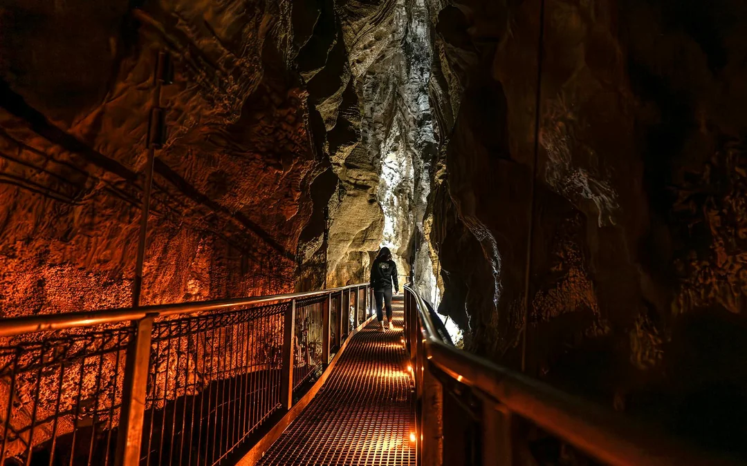 Ruakuri Cave Guided Tour Image 11