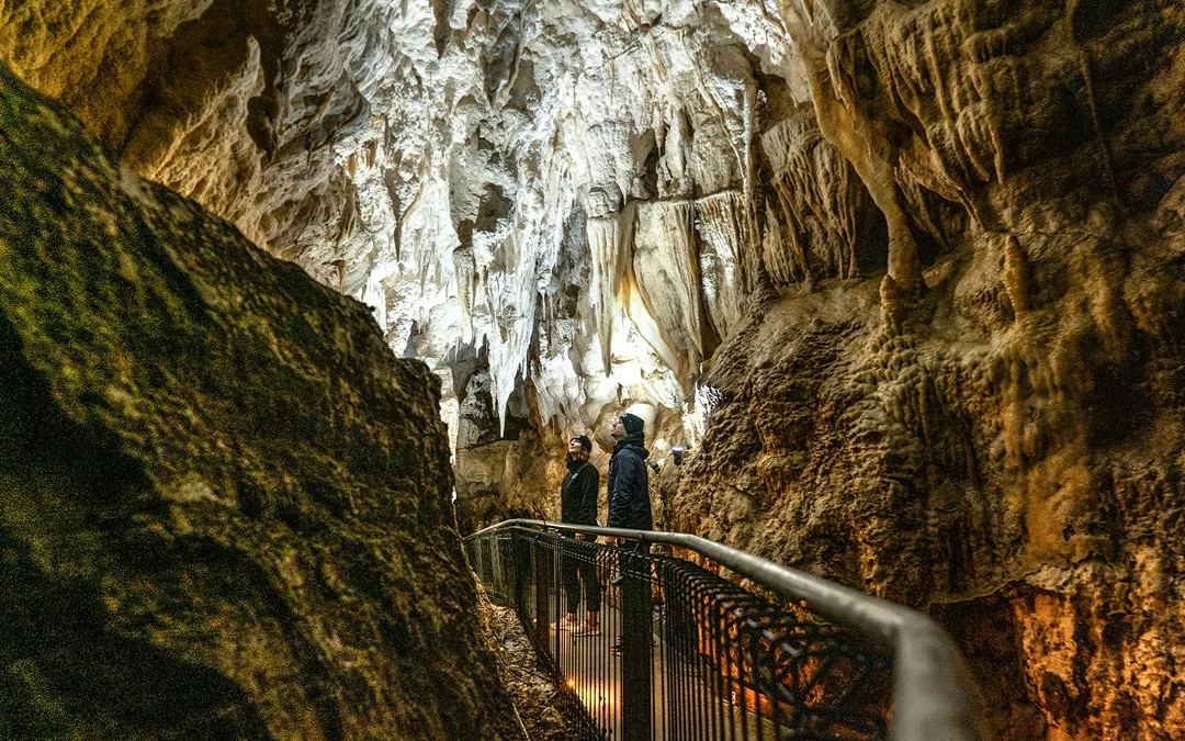 Ruakuri Cave Guided Tour Image 4