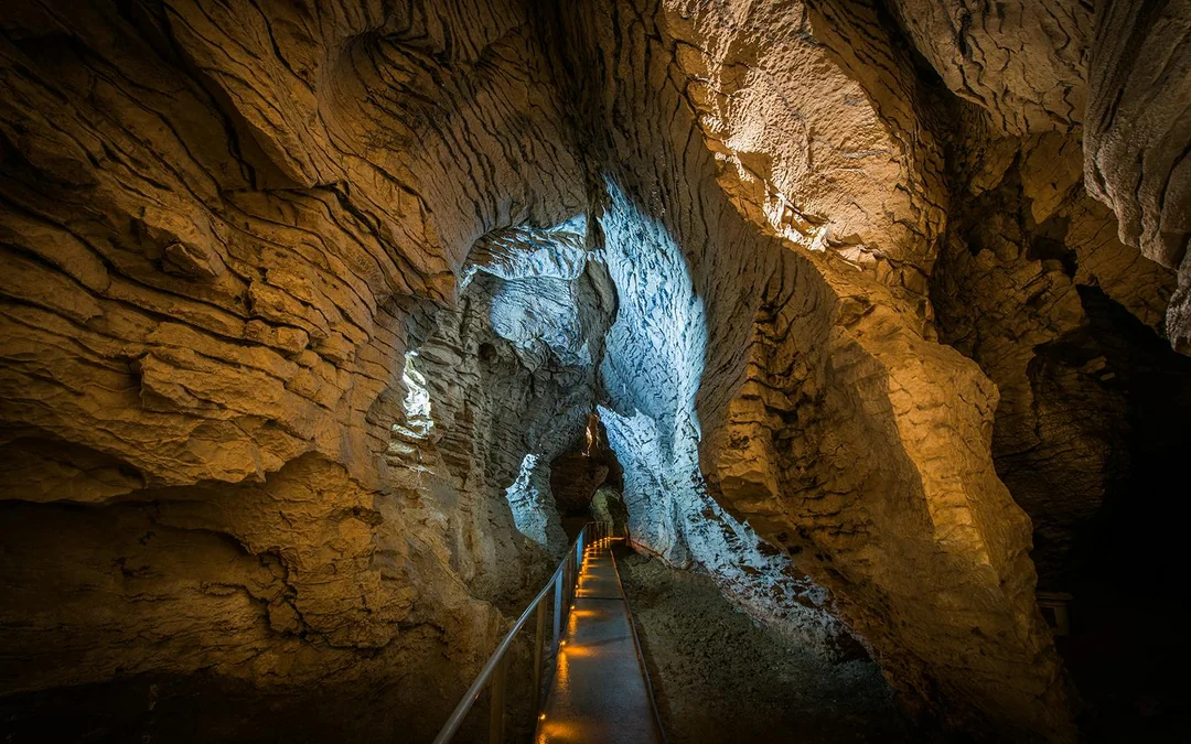 Ruakuri Cave Guided Tour Image 5