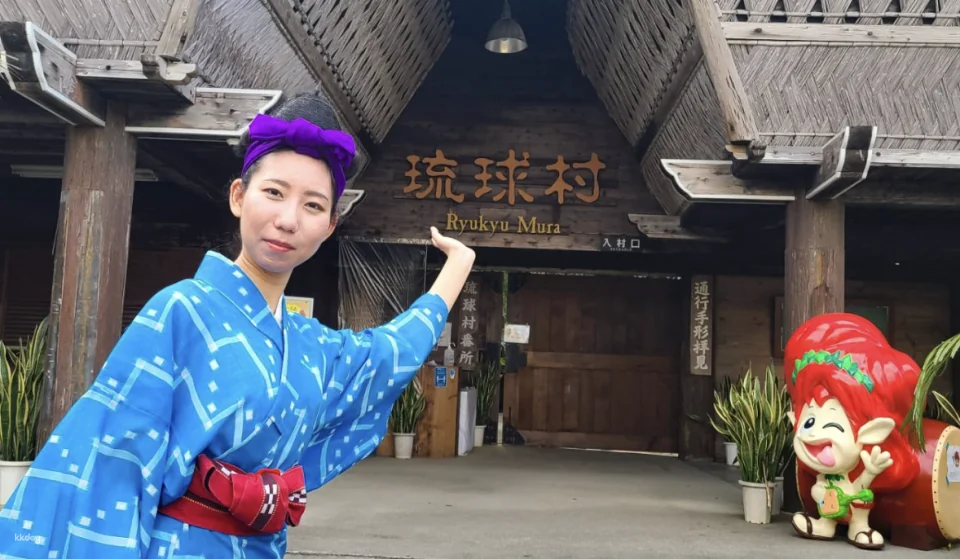Ryukyu Mura admission ticket