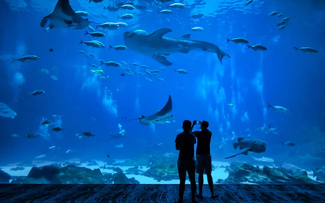 Ryukyu Mura Tickets with Optional Churaumi Aquarium Tickets Image 3