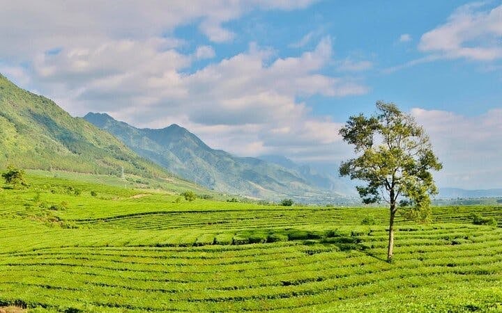 Sa Pa to Mu Cang Chai Private Car Tour Including All Meals and Visits to Rice Terraces and Ethnic Villages Image 2