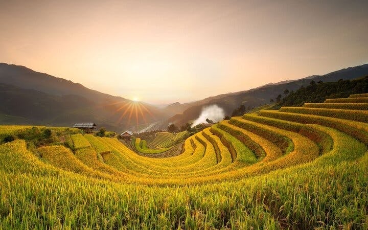 Sa Pa to Mu Cang Chai Private Car Tour Including All Meals and Visits to Rice Terraces and Ethnic Villages Image 5
