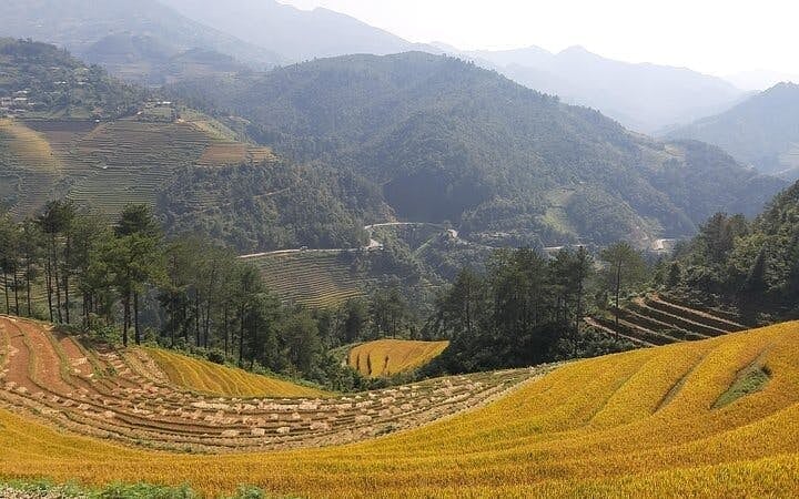 Sa Pa to Mu Cang Chai Private Car Tour Including All Meals and Visits to Rice Terraces and Ethnic Villages Image 6